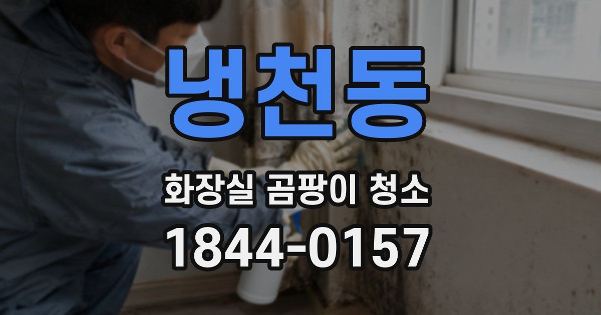 냉천동 화장실 곰팡이 청소