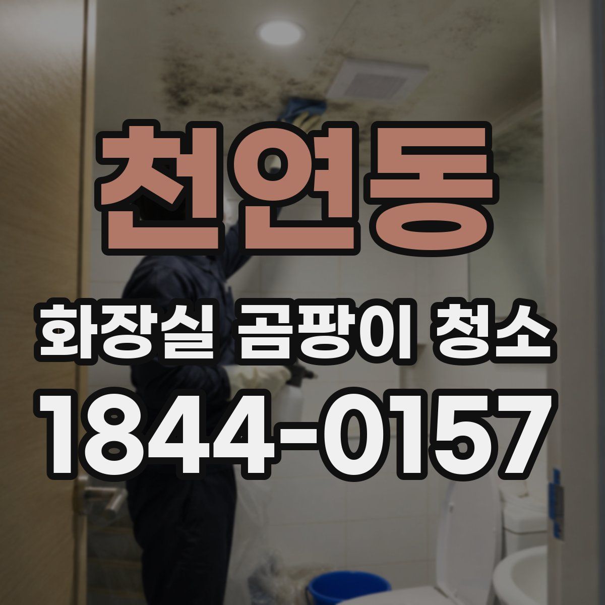 천연동 화장실 곰팡이 청소