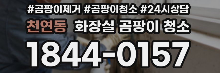 천연동 화장실 곰팡이 청소