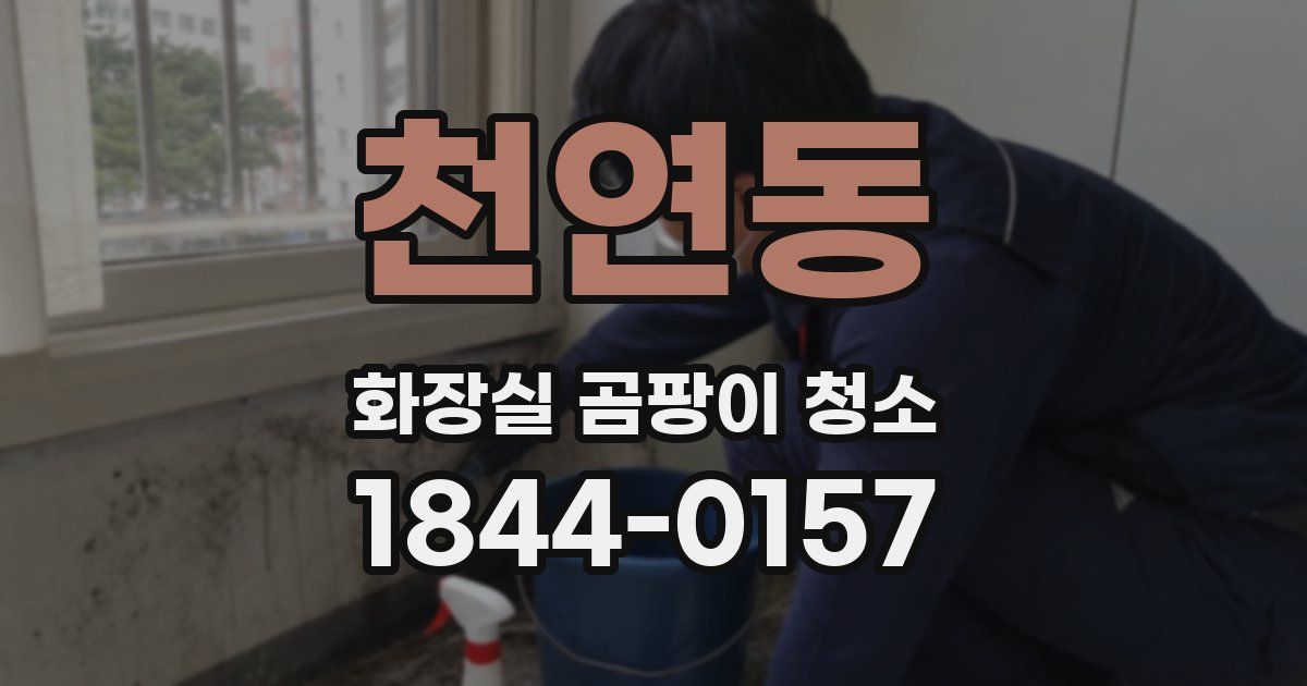 천연동 화장실 곰팡이 청소