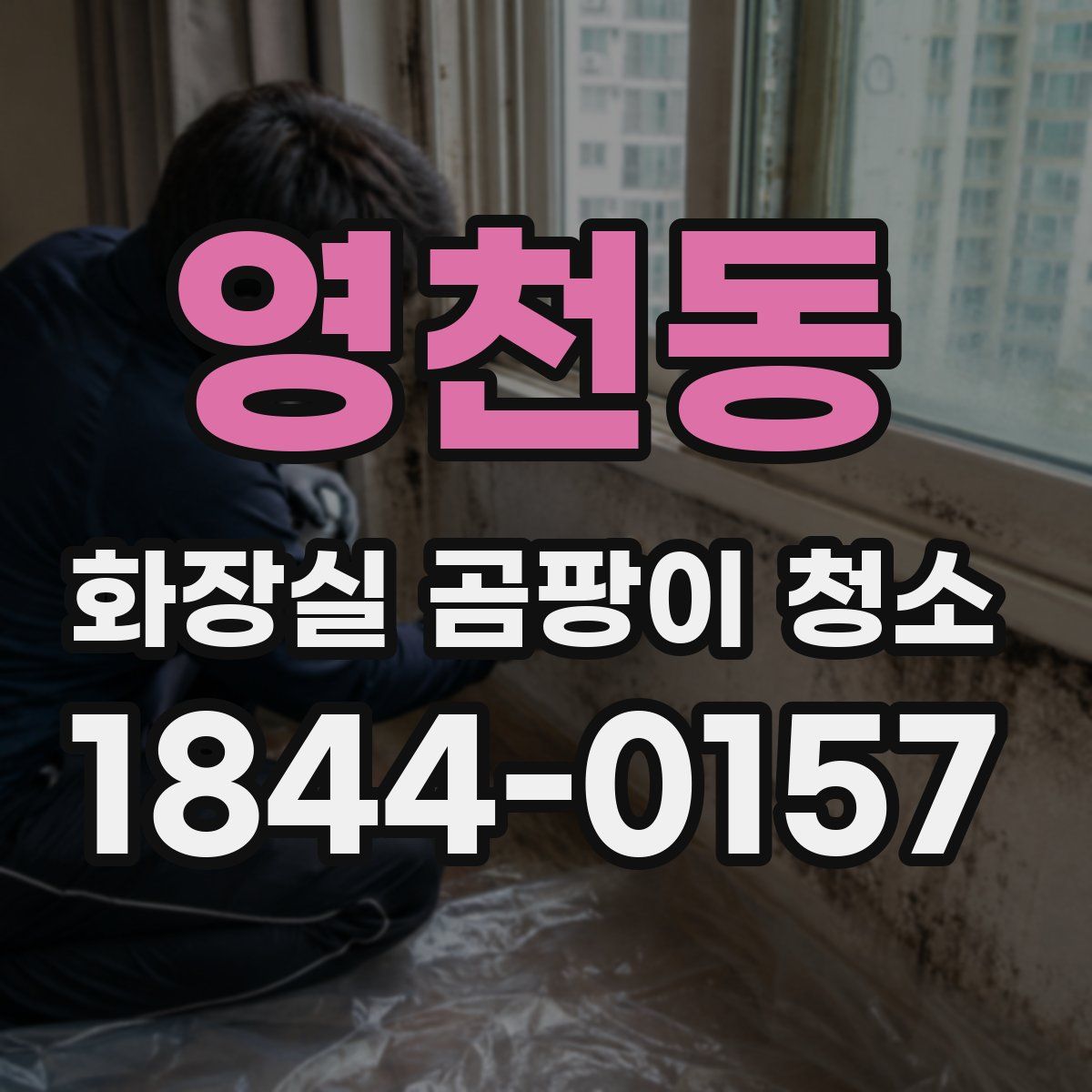영천동 화장실 곰팡이 청소
