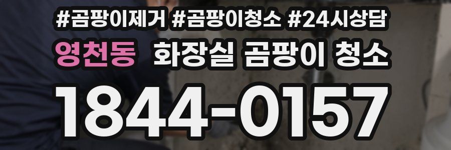 영천동 화장실 곰팡이 청소