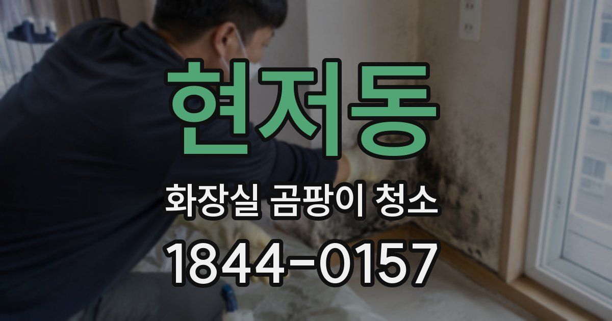 현저동 화장실 곰팡이 청소