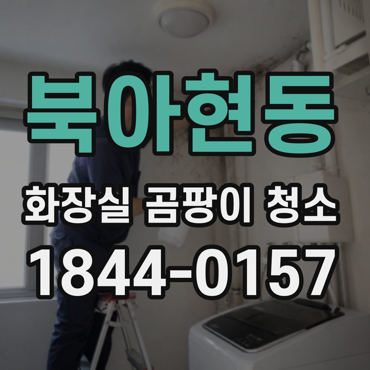 북아현동 화장실 곰팡이 청소