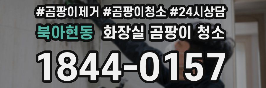 북아현동 화장실 곰팡이 청소
