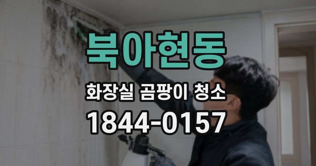 북아현동 화장실 곰팡이 청소