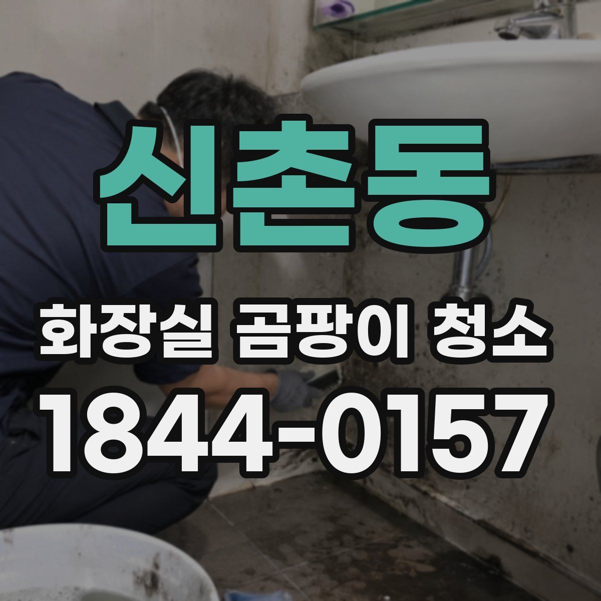 신촌동 화장실 곰팡이 청소