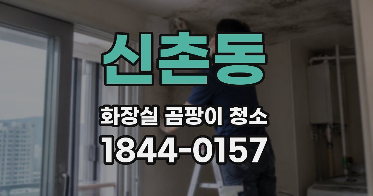 신촌동 화장실 곰팡이 청소