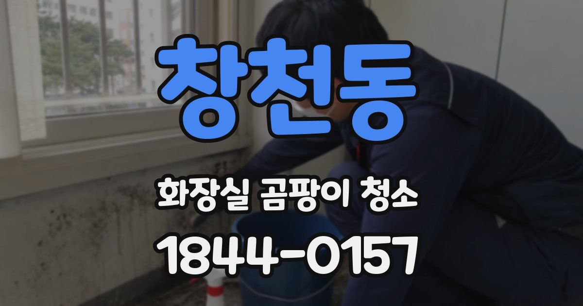창천동 화장실 곰팡이 청소