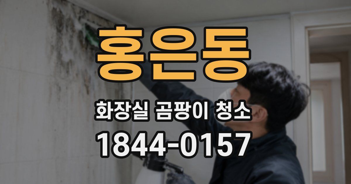 홍은동 화장실 곰팡이 청소