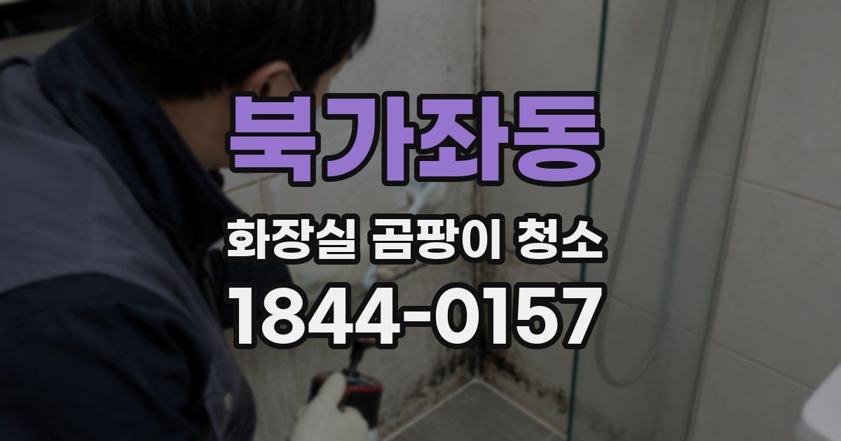 북가좌동 화장실 곰팡이 청소