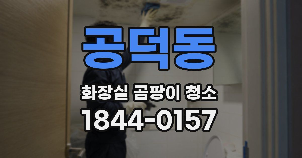 공덕동 화장실 곰팡이 청소
