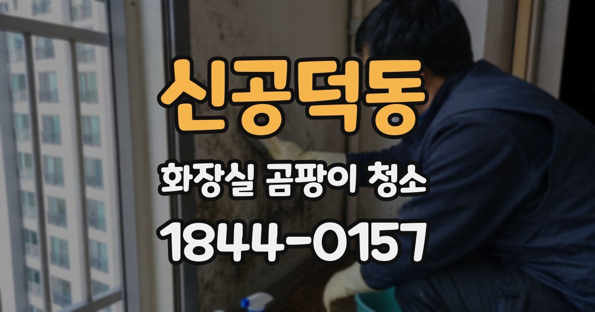 신공덕동 화장실 곰팡이 청소