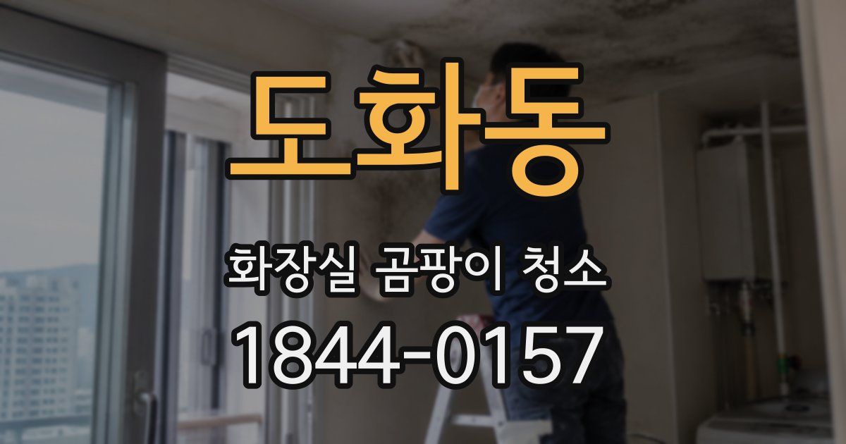 도화동 화장실 곰팡이 청소