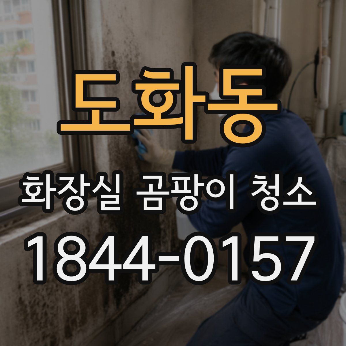 도화동 화장실 곰팡이 청소