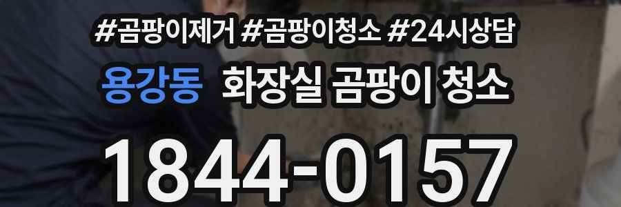 용강동 화장실 곰팡이 청소