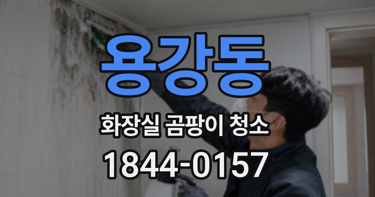 용강동 화장실 곰팡이 청소