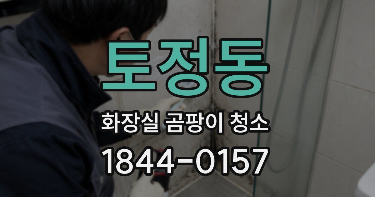 토정동 화장실 곰팡이 청소