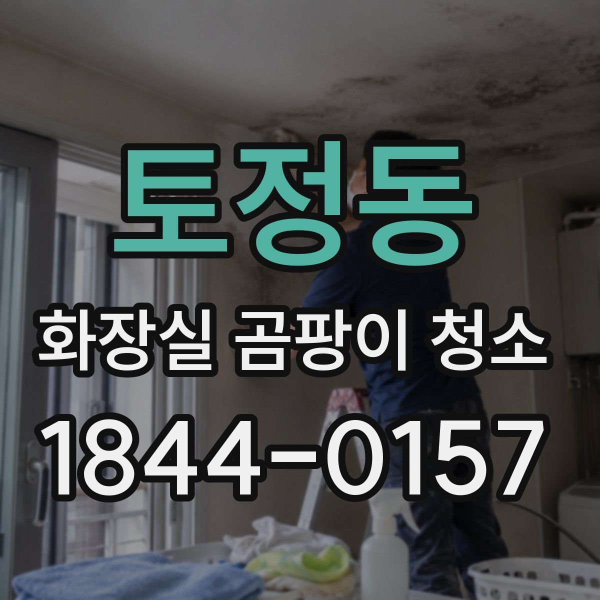 토정동 화장실 곰팡이 청소