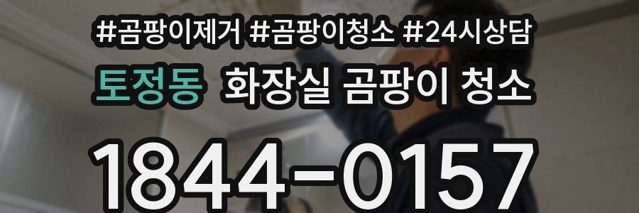 토정동 화장실 곰팡이 청소