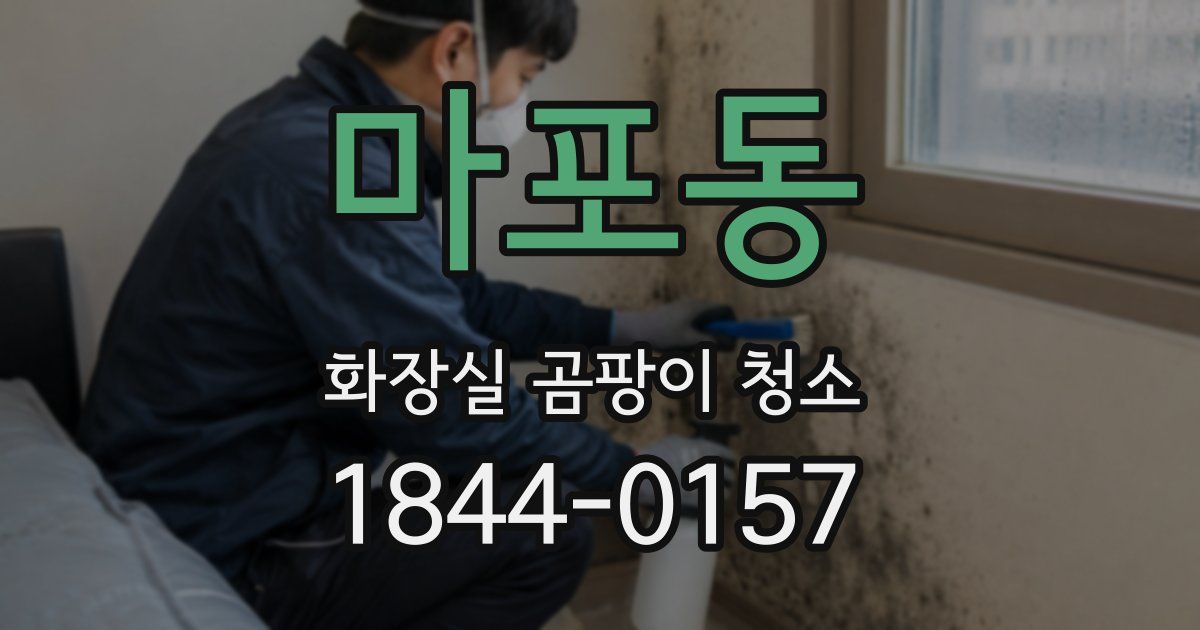 마포동 화장실 곰팡이 청소