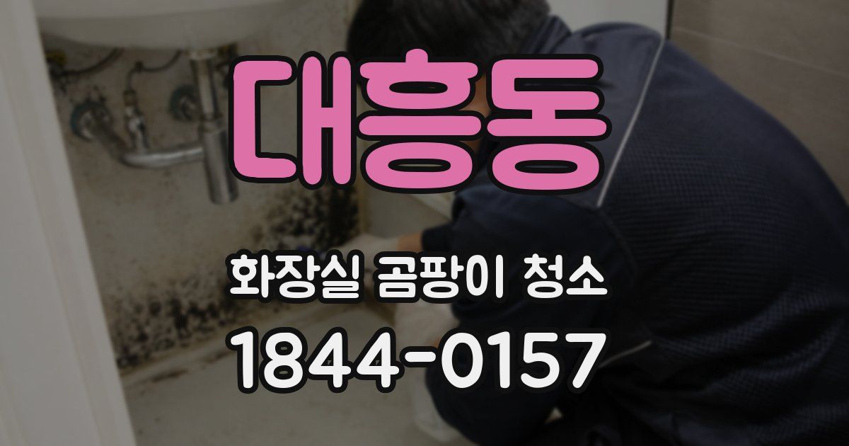 대흥동 화장실 곰팡이 청소