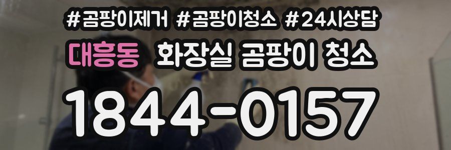 대흥동 화장실 곰팡이 청소