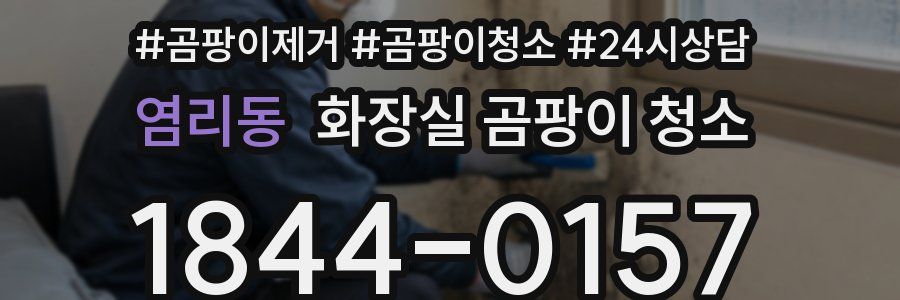 염리동 화장실 곰팡이 청소