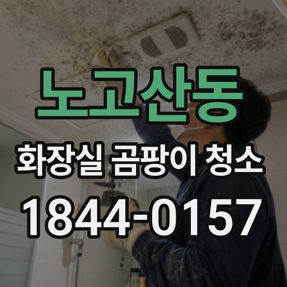 노고산동 화장실 곰팡이 청소