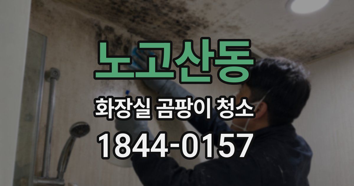 노고산동 화장실 곰팡이 청소