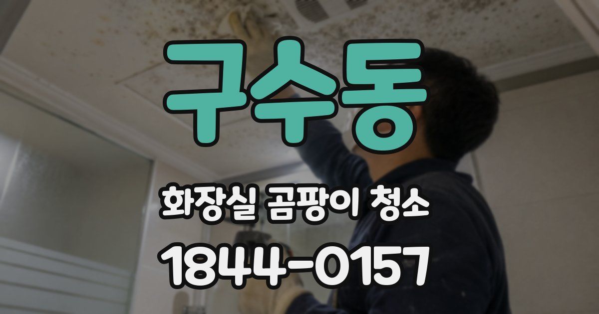 구수동 화장실 곰팡이 청소
