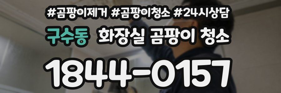 구수동 화장실 곰팡이 청소
