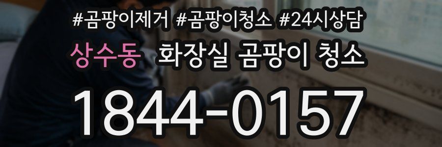 상수동 화장실 곰팡이 청소