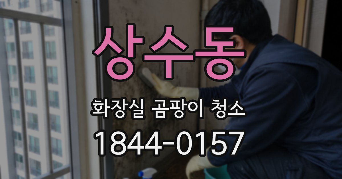 상수동 화장실 곰팡이 청소