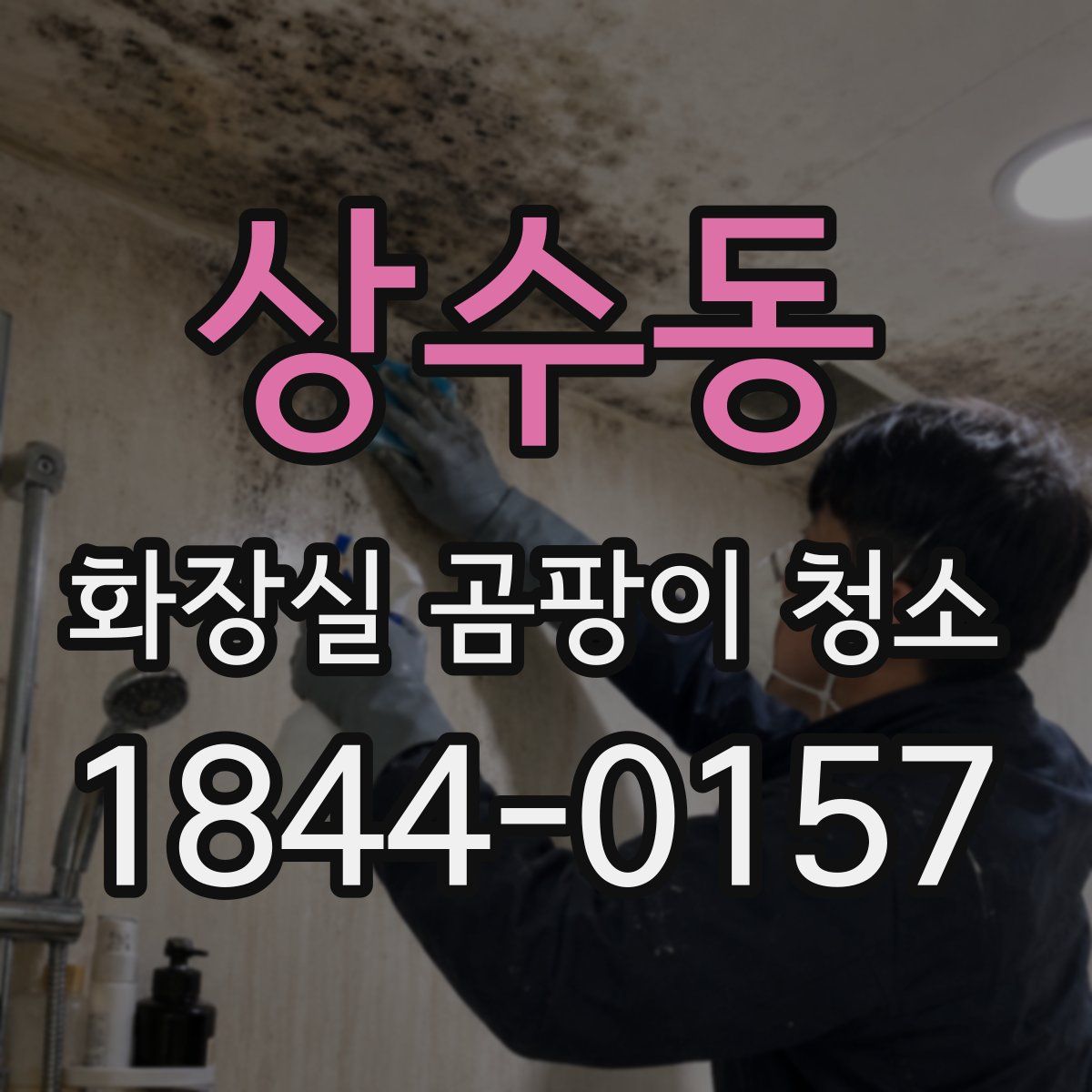 상수동 화장실 곰팡이 청소