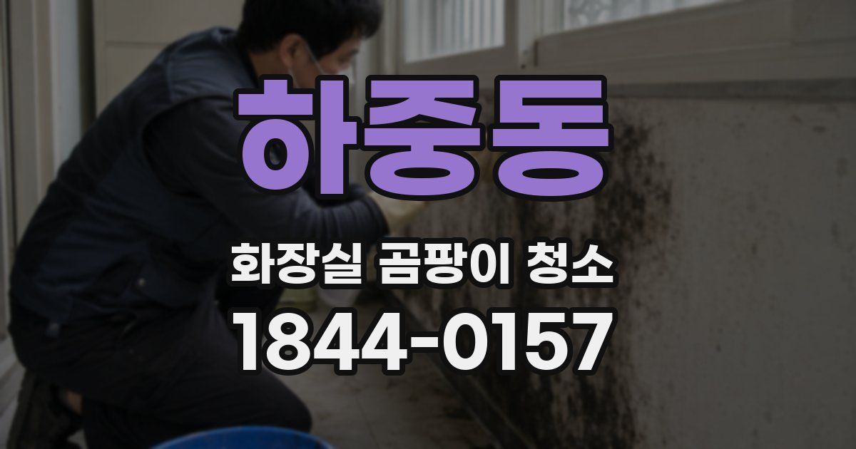 하중동 화장실 곰팡이 청소