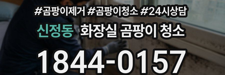 신정동 화장실 곰팡이 청소