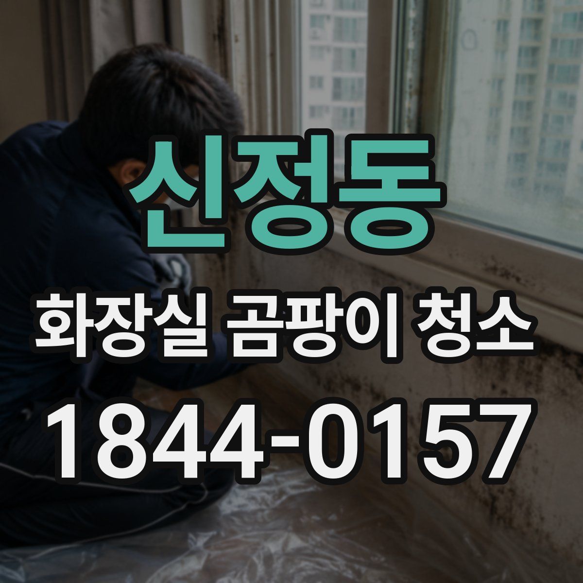 신정동 화장실 곰팡이 청소