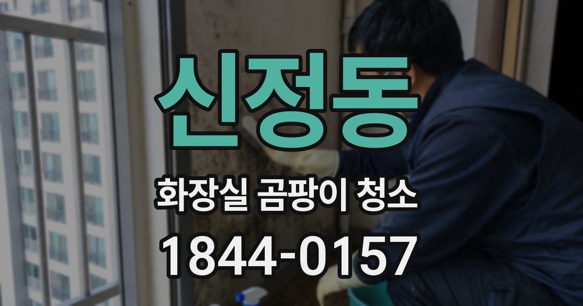 신정동 화장실 곰팡이 청소
