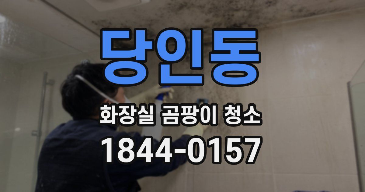 당인동 화장실 곰팡이 청소