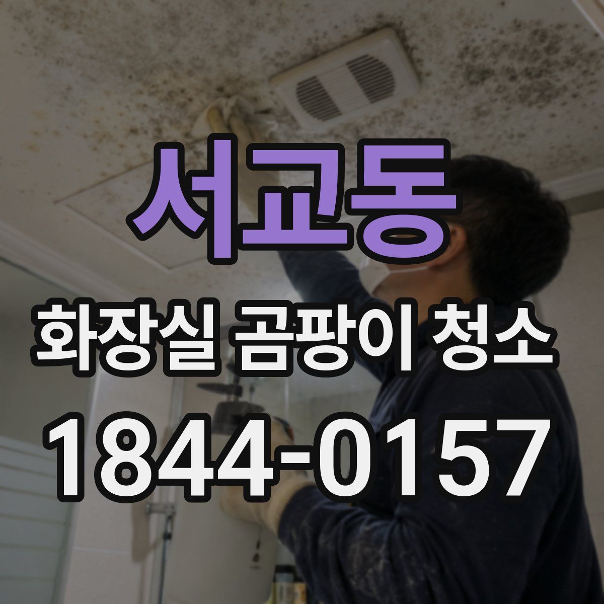 서교동 화장실 곰팡이 청소