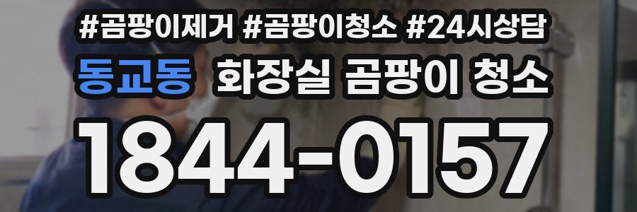동교동 화장실 곰팡이 청소