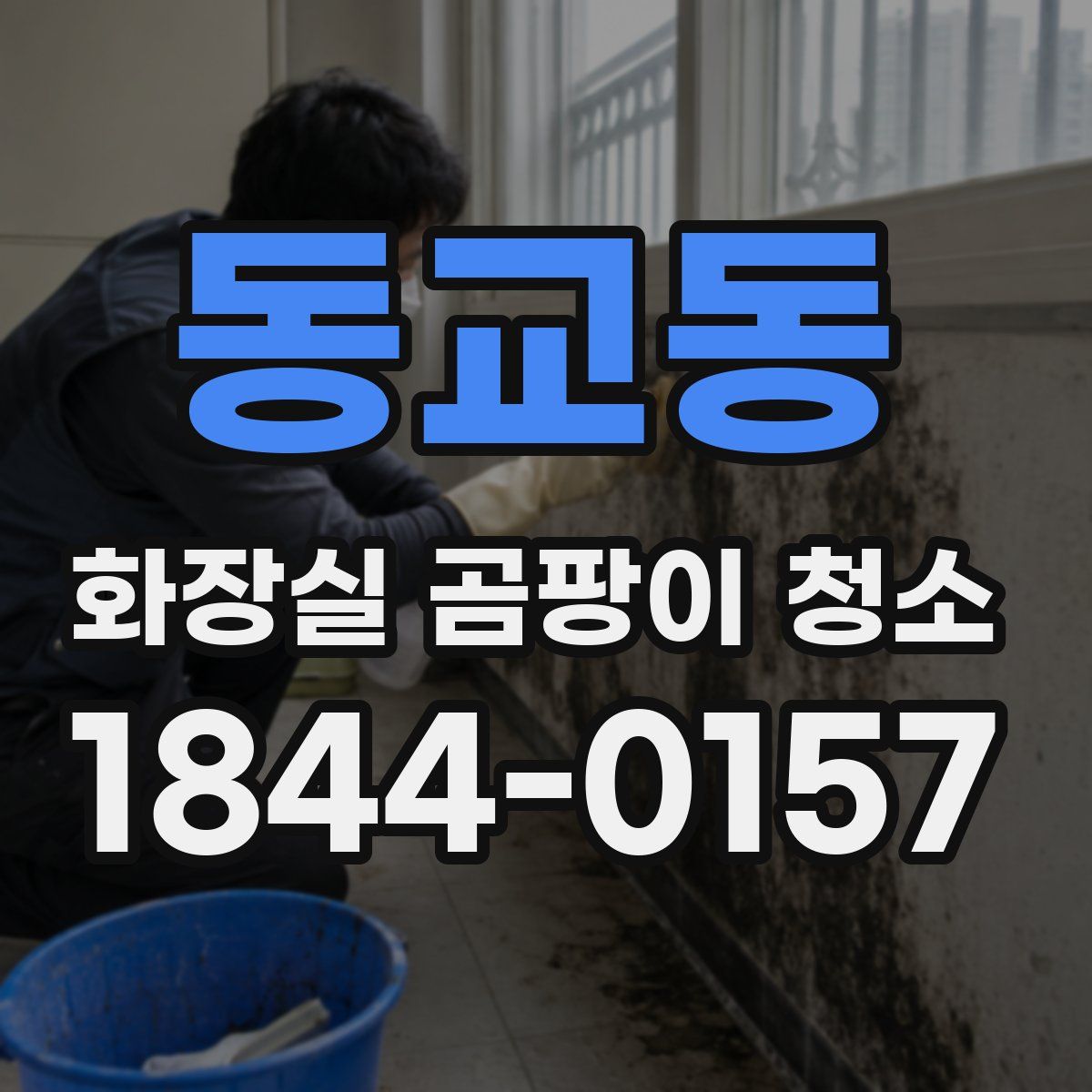 동교동 화장실 곰팡이 청소