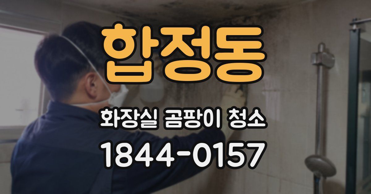 합정동 화장실 곰팡이 청소