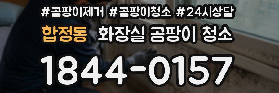 합정동 화장실 곰팡이 청소