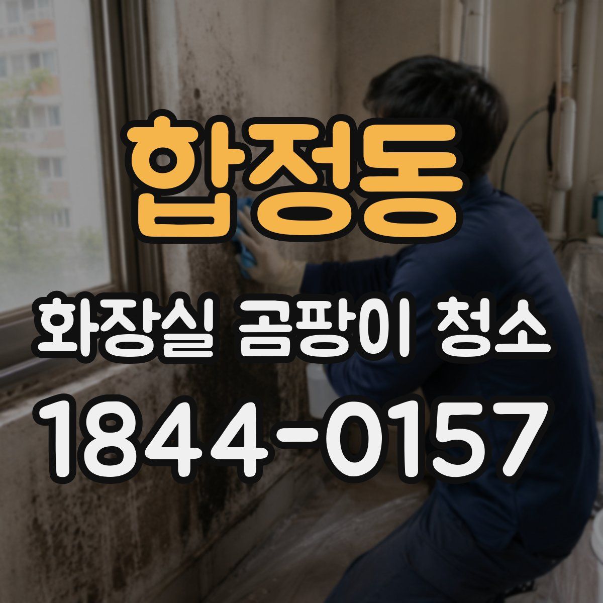 합정동 화장실 곰팡이 청소