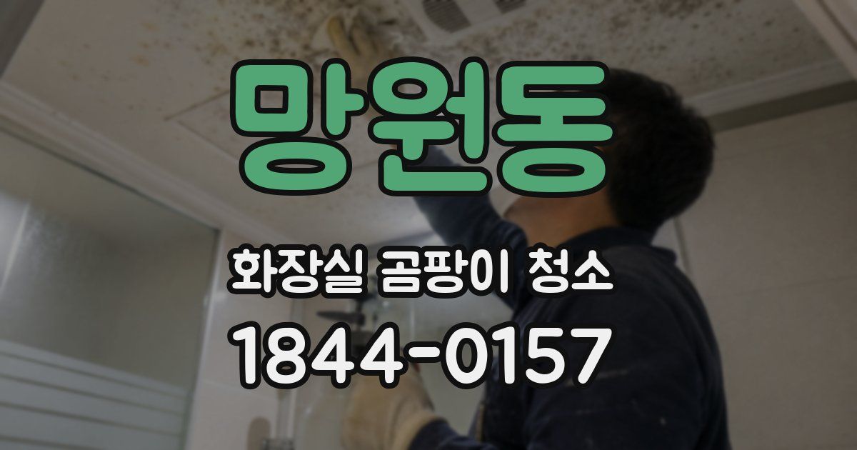 망원동 화장실 곰팡이 청소