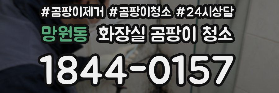 망원동 화장실 곰팡이 청소