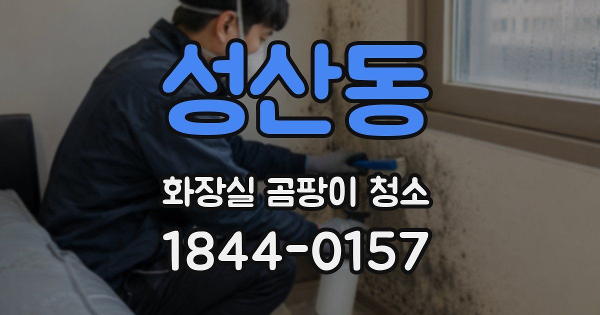 성산동 화장실 곰팡이 청소