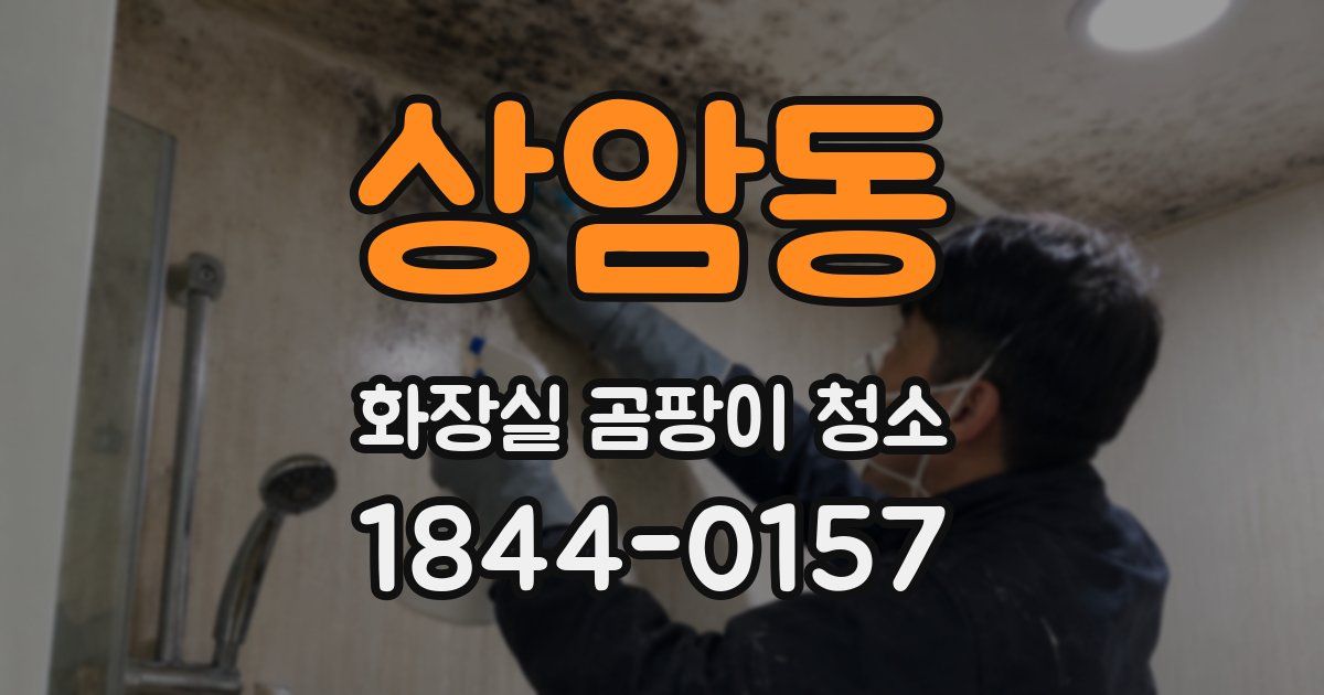 상암동 화장실 곰팡이 청소